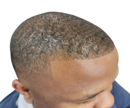 Adult Hair Cut (H)