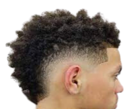 Mohawks