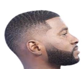 Adult Cut and Shave