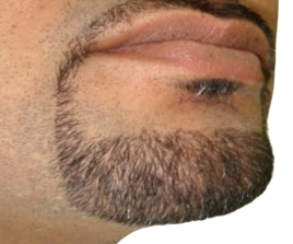 Shave